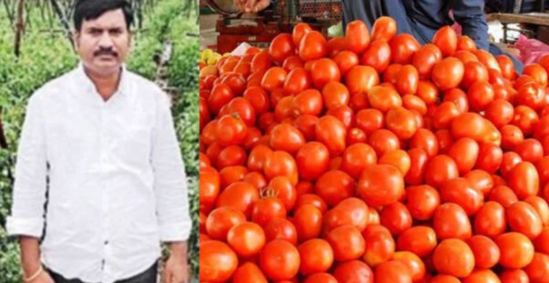 बाध्यताले थालेको टमाटर खेतीले बनायो १५ दिनमै करोडपति
